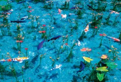 Monet's pond
