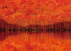 Tsutanuma, autumn tints