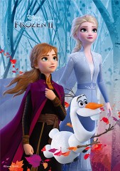 The hidden secret (Frozen 2)