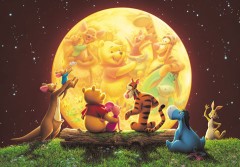 Pooh's moonlight party