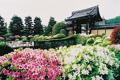 Myôman-ji