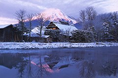 Fuji - rosy dawn