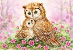 Owls cuddle