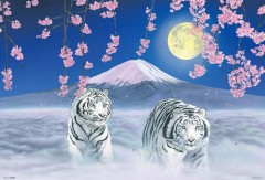 White tigers with Mount Fuji