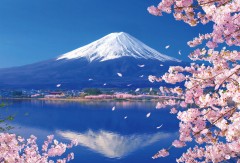 Mount Fuji reflection