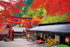 Kyoto teahouse
