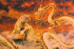 Fiery dragon - wild tiger