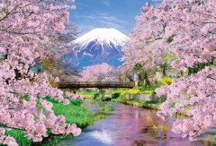 Fuji in spring