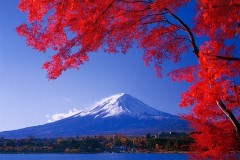 Mt. Fuji with maples