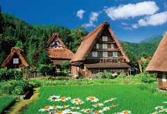 Shirakawa traditional houses