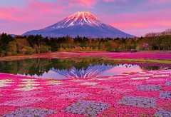 Sunset Fuji