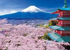 Fuji with pagoda