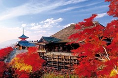 Kiyomizu  autumn colours