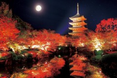 Autumn pagoda by moonlight
