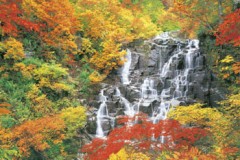 Ninotaki falls in autumn