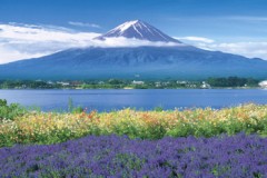 Fuji from Lake Kawaguchi