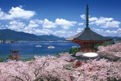 Itsukushima in spring