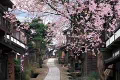 Magome post town in spring