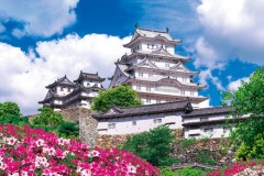 Himeji Castle with azaleas