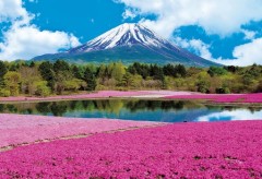 Fuji with flowers