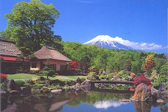 Fuji - Oshino