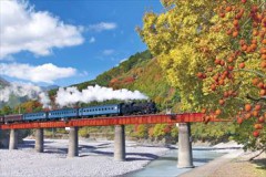 Oigawa railway in autumn