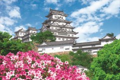 Himeji Castle with azaleas