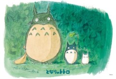 Meet Totoro in the forest