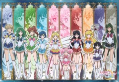 Hamee Sailor Moon Crystal Jigsaw Puzzle Pieces 1000-520 1000 