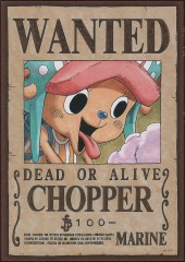 Wanted: Tony Tony Chopper