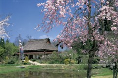 Thatched cottage (Hiroshima)