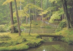 Kyoto moss garden