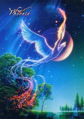 Phoenix, eternal wings