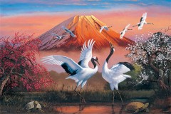 Mt Fuji cranes