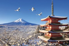 Cranes over winter Fuji landscape